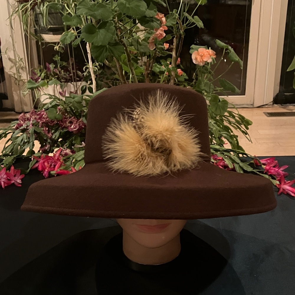 Elegant Brown Wool Hat with Feather Fur Accent